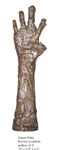 Gieve-1