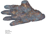 Gieve-4